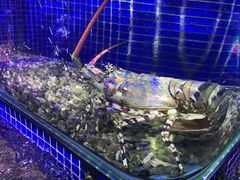 -青蓬蒸汽海鲜·深圳老字号·团建聚会(壹方城店)