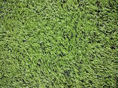 -明兴正宗潮州五彩鱼蛋粉面(中山六路店)