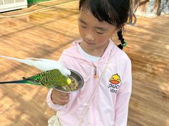 -五龙山野生动物王国
