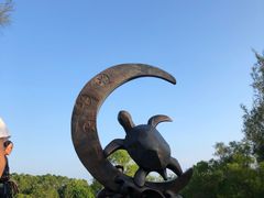 -广东惠东海龟国家级自然保护区