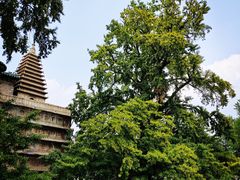 -北京石刻艺术博物馆(五塔寺)