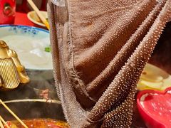 -蜀大侠火锅(总府路店)