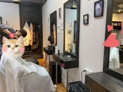 -M3 Hair Studio