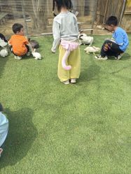 -268童话露营农场·烧烤·团建