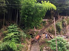 -林坑古村落