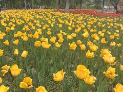 -长春公园(普阳街道)