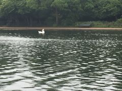-海德公园