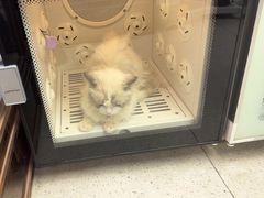 -FAELING PETS美天灵宠物(富力广场店)