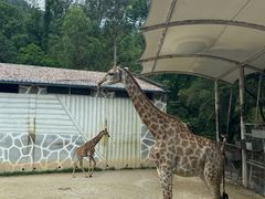 -泉州海丝野生动物世界
