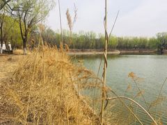 -顺鑫绿色度假村