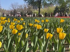 -长春公园(普阳街道)