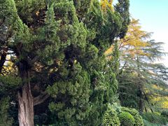 -西郊宾馆·1921餐厅