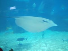 -福州罗源湾海洋世界旅游区