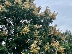 -浦阳面馆(萧山店)