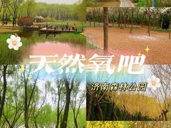 -济南森林公园