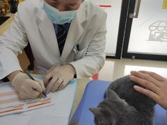 -艾贝尔宠物诊疗