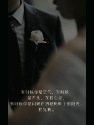 -余笙是你婚礼策划(创意谷店)