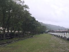 -瑞穗牧场
