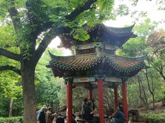 -洛阳市牡丹公园