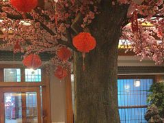 -鸥迪足道(安庆店)