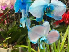 -三旗百汇商品城