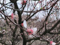 -苏州上方山国家森林公园