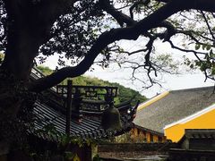 -普陀山风景区-佛顶山