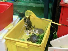 -三妹小龙虾·黄油蟹(华侨城总店)