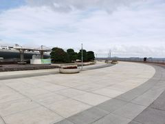 -演武大桥观景平台