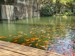-千岛湖东南湖区