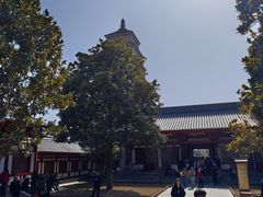 -大慈恩寺(大雁塔)