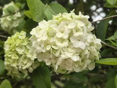 -湖南烈士公园(芙蓉区)
