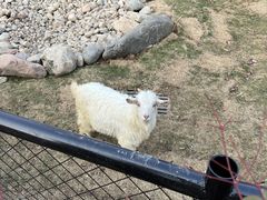 -祥源·阜阳生态乐园