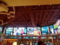 -拉斯维加斯永利酒店