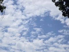 -罔极寺