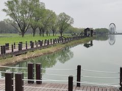 -苏州太湖湖滨国家湿地公园