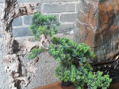 -梁园