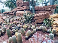 -南通洲际绿博园