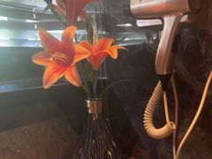 -陆琴脚艺·足浴·SPA(夫子庙店)
