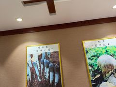 -菌之家·专业纯野生菌火锅·特色炒菌