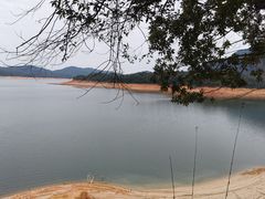 -广州市流溪河国家森林公园