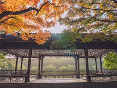 -北山街历史文化街区