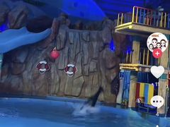 -烟台海昌鲸鲨海洋公园