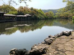 -西湖外事游船(花港观鱼码头)