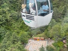 -苍山感通索道