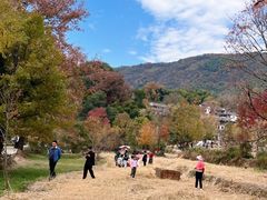 -塔川景区