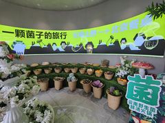 -花菇朵 ll 野生菌火锅·精品云南菜(后沙峪店)