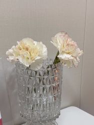 -北京俪婴妇产医院(朝阳大悦城店)