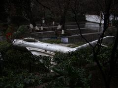-伯先公园