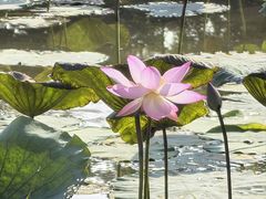 -碧水湾温泉